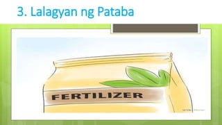 3. Lalagyan ng Pataba
 