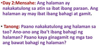 •Day 2:Mensahe: Ang halaman ay
nakakatulong sa atin sa ibat ibang paraan. Ang
halaman ay may ibat ibang bahagi at gamit.
• Tanong: Paano nakakatulong ang halaman sa
tao? Ano-ano ang iba’t ibang bahagi ng
halaman? Paano kaya ginagamit ng mga tao
ang bawat bahagi ng halaman?
 