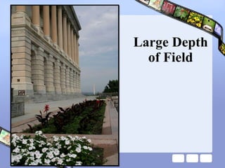 Large Depth of Field 