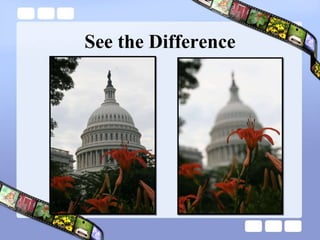 See the Difference 