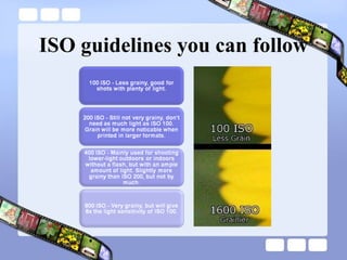 ISO guidelines you can follow 