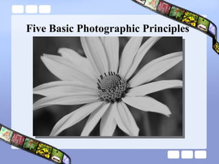 Five Basic Photographic Principles 
