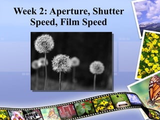 Week 2: Aperture, Shutter Speed, Film Speed Joel Kinison 