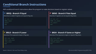 Week 2_ Branch, Call, and Time Delay Loop.pptx