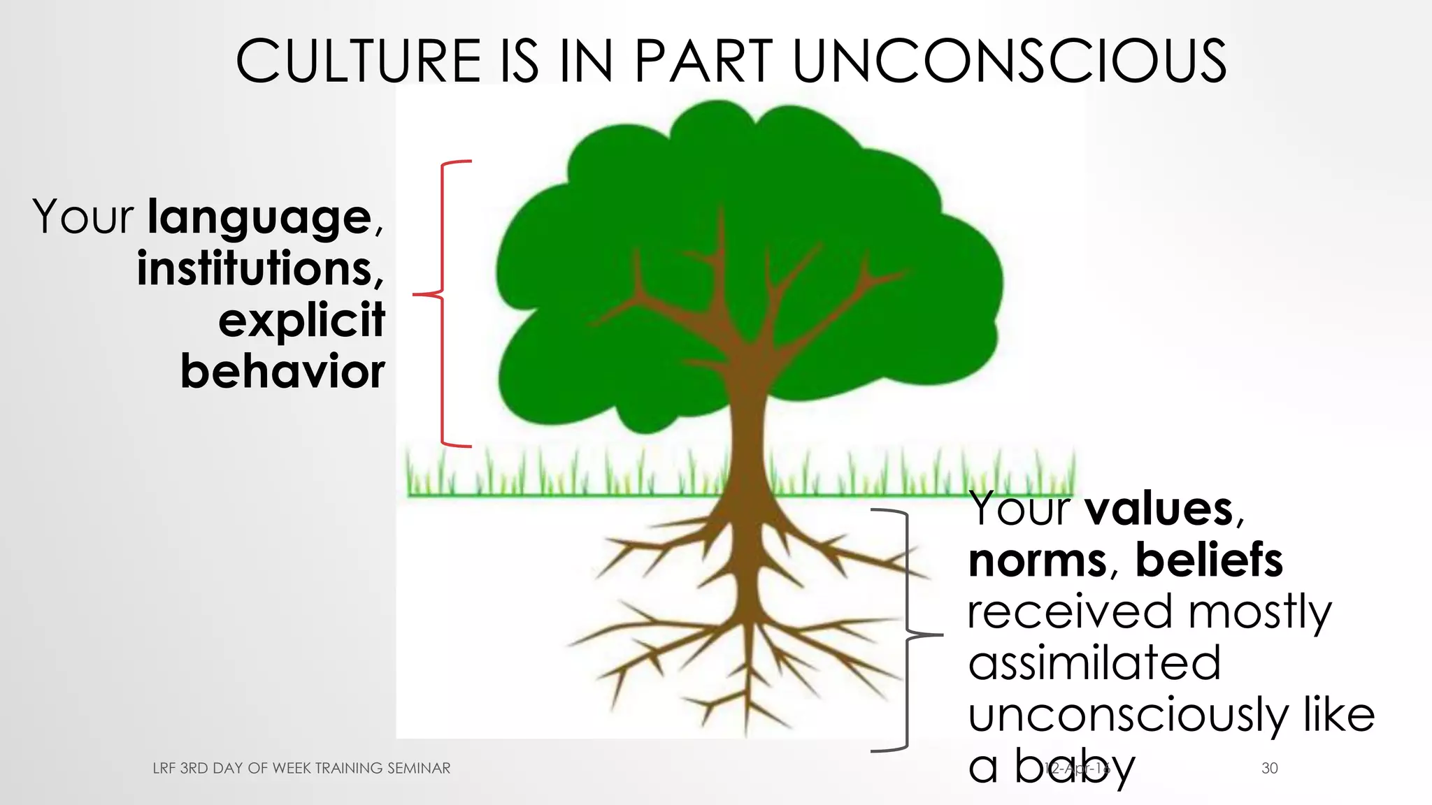 CULTURE IS IN PART UNCONSCIOUS
Your values,
norms, beliefs
received mostly
assimilated
unconsciously like
a baby
Your language,
institutions,
explicit
behavior
12-Apr-16LRF 3RD DAY OF WEEK TRAINING SEMINAR 30
 