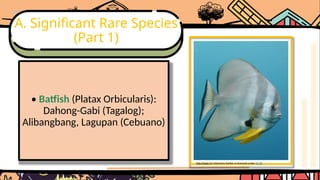 Tagbago Fish Comprehensive Overview of RA 10654 and Philippine Fish Species ...