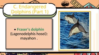 Comprehensive Overview of RA 10654 and Philippine Fish Species ...