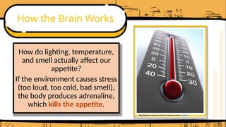 How the Brain Works
How do lighting, temperature,
and smell actually affect our
appetite?
If the environment causes stress
(too loud, too cold, bad smell),
the body produces adrenaline,
which kills the appetite.
This Photo by Unknown Author is licensed under CC BY-SA
 