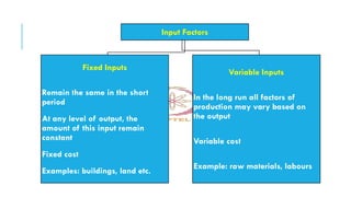 Comprehensive Analysis of Elasticity in Demand, Supply, and Production ...