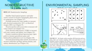 Sampling Plan Environment Week 2 Environmental Monitoring_Sampling & Data Quality Objectives.pptx