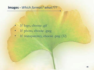 Images - Which format? what???



    •   If logo, choose .gif
    •   If photo, choose .jpeg
    •   If transparency, choose .png (32)




                                            16
 