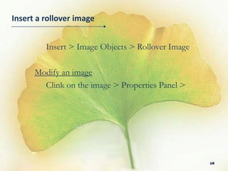 Insert a rollover image


         Insert > Image Objects > Rollover Image

      Modify an image
        Clink on the image > Properties Panel >




                                                   18
 