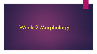 Week 2 Morphology
 