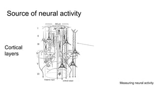 Week 2 neural basis of consciousness: introduction to the research ...