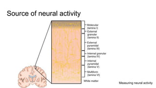Various Neural Activity Week 2 neural basis of consciousness: introduction to the research ...