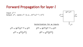 Forward Propagation for layer 𝑙
Input 𝑎[=2!]
Output 𝑎[=]
, cache 𝑧[=]
(i.e., 𝑊 =
×𝑎[=2!]
+ 𝑏[=]
)
𝑊 =
, 𝑏[=]
𝑎[=]
𝑎[=2!]
𝑧[u] = 𝑊 u 𝑎[u7#] + 𝑏[u]
𝑎[u] = 𝑔 u 𝑧[u]
𝑍[u] = 𝑊 u 𝐴[u7#] + 𝑏[u]
𝐴[u] = 𝑔 u 𝑍[u]
Vectorization for 𝒎 inputs 𝑧[=]
 