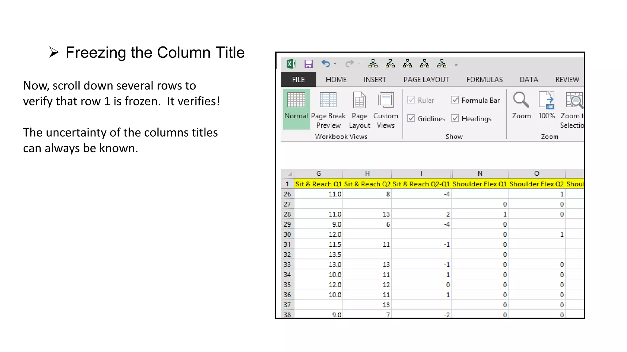 Excel Freezing Panes PPT