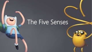 The Five Senses
 