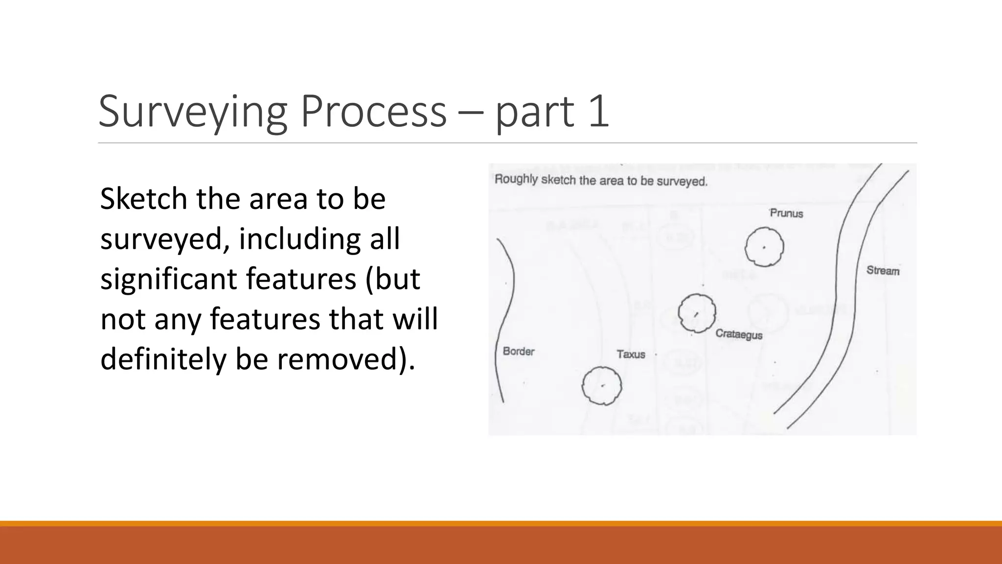 Surveying Process – part 1
Sketch the area to be
surveyed, including all
significant features (but
not any features that will
definitely be removed).
 