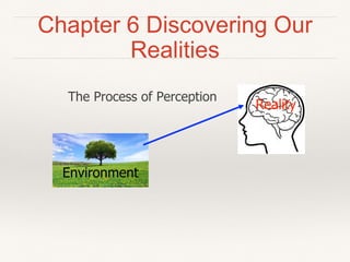 Chapter 6 Discovering Our
Realities
Environment
Reality
The Process of Perception
 