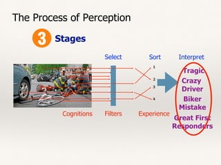 SortSelect Interpret
The Process of Perception
Stages
Cognitions Filters
1
2
3
4
Tragic
Crazy
Driver
Biker
Mistake
Great First
Responders
Experience
 