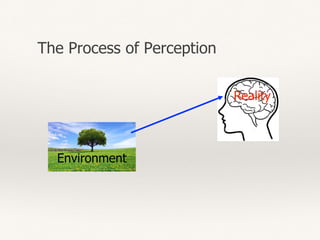 Environment
Reality
The Process of Perception
 