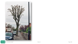 © Jonathan Hazell

Week 3

Page 104

 