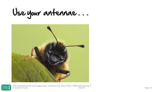 Use your antennae . . .

http://wallpaperscraft.com/image/insect_antennae_leaf_head_43013_1600x1200.jpg?orig=1
© Jonathan Hazell
Week 3

Page 18

 