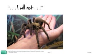 “. . . I will not . . .”

http://eofdreams.com/data_images/dreams/tarantula/tarantula-10.jpg
© Jonathan Hazell

Week 3

Page 41

 