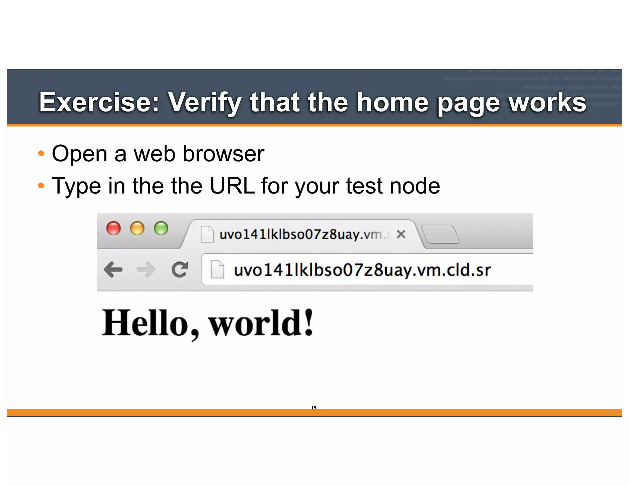 Exercise: Verify that the home page works
• Open a web browser
• Type in the the URL for your test node
19
 