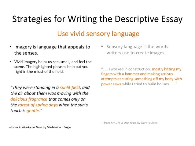 Descriptive essay write strategy using vivid images
