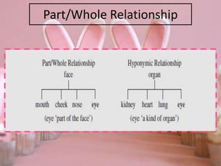 Part/Whole Relationship
 