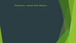 Pikachurin, named after Pikachu.
 