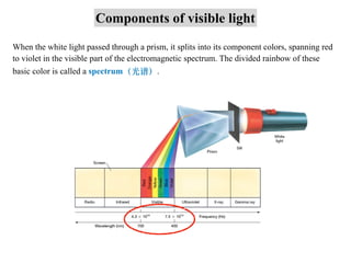 Components of visible light
When the white light passed through a prism, it splits into its component colors, spanning red...