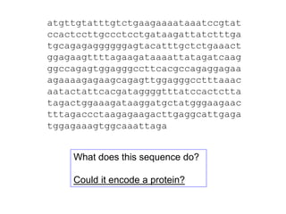 atgttgtatttgtctgaagaaaataaatccgtat
ccactccttgccctcctgataagattatctttga
tgcagagaggggggagtacatttgctctgaaact
ggagaagttttagaagataaaattatagatcaag
ggccagagtggagggccttcacgccagaggagaa
agaaaagagaagcagagttggagggcctttaaac
aatactattcacgataggggtttatccactctta
tagactggaaagataaggatgctatgggaagaac
tttagaccctaagagaagacttgaggcattgaga
tggagaaagtggcaaattaga
What does this sequence do?
Could it encode a protein?
 