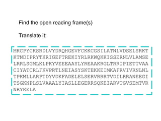 MKCPYCKSRDLVYDRQHGEVFCKKCGSILATNLVDSELSRKT
KTNDIPRYTKRIGEFTREKIYRLRKWQKKISSERNLVLAMSE
LRRLSGMLKLPKYVEEEAAYLYREAAKRGLTRRIPIETTVAA
CIYATCRLFKVPRTLNEIASYSKTEKKEIMKAFRVIVRNLNL
TPKMLLARPTDYVDKFADELELSERVRRRTVDILRRANEEGI
TSGKNPLSLVAAALYIASLLEGERRSQKEIARVTGVSEMTVR
NRYKELA
Find the open reading frame(s)
Translate it:
 