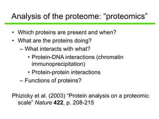 Analysis of the proteome: “proteomics”
• Which proteins are present and when?
• What are the proteins doing?
– What interacts with what?
• Protein-DNA interactions (chromatin
immunoprecipitation)
• Protein-protein interactions
– Functions of proteins?
Phizicky et al. (2003) “Protein analysis on a proteomic
scale” Nature 422, p. 208-215
 