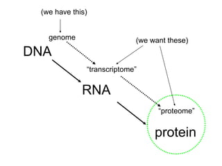 DNA
RNA
protein
genome
“transcriptome”
“proteome”
(we have this)
(we want these)
 