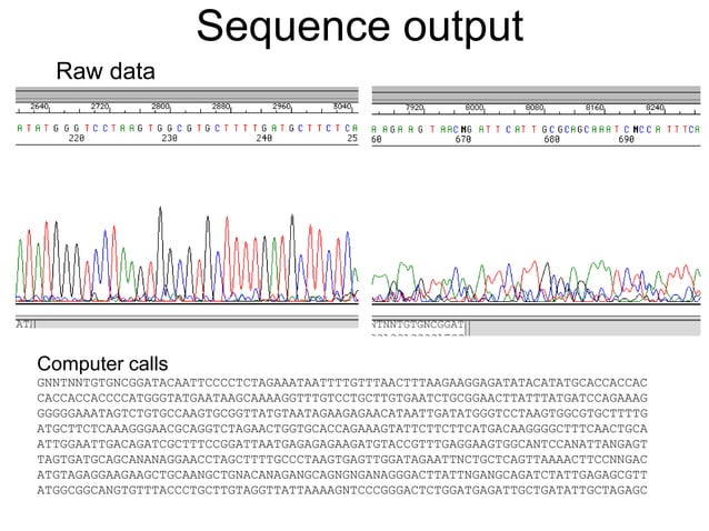 DNA Sequencing: History, methods and NGS | PPT