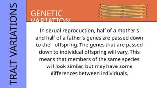 WEEK 3-GENETIC INHERITANCE AND ITS TYPES | PPTX