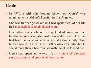 Genie
 In 1970, a girl who became known as “Genie” was
admitted to a children’s hospital in Los Angeles.
 She was thirteen years old and had spent most of her life
tied to a chair in a small closed room.
 Her father was intolerant of any kind of noise and had
beaten her whenever she made a sound as a child. There
had been no radio or television, and Genie’s only other
human contact was with her mother who was forbidden to
spend more than a few minutes with the child to feed her.
 Genie had spent her whole life in a state of physical,
sensory, social and emotional deprivation.
 