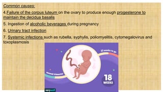 Common causes:
4.Failure of the corpus luteum on the ovary to produce enough progesterone to
maintain the decidua basalis
5. Ingestion of alcoholic beverages during pregnancy
6. Urinary tract infection
7. Systemic infections such as rubella, syphylis, poliomyelitis, cytomegalovirus and
toxoplasmosis
 