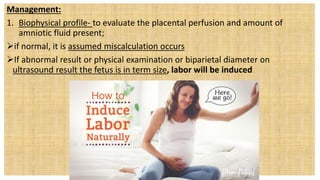 Management:
1. Biophysical profile- to evaluate the placental perfusion and amount of
amniotic fluid present;
if normal, it is assumed miscalculation occurs
If abnormal result or physical examination or biparietal diameter on
ultrasound result the fetus is in term size, labor will be induced
 