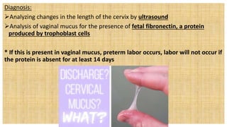 Diagnosis:
Analyzing changes in the length of the cervix by ultrasound
Analysis of vaginal mucus for the presence of fetal fibronectin, a protein
produced by trophoblast cells
* If this is present in vaginal mucus, preterm labor occurs, labor will not occur if
the protein is absent for at least 14 days
 