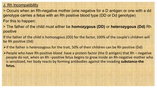 J. Rh Incompatibility
> Occurs when an Rh-negative mother (one negative for a D antigen or one with a dd
genotype carries a fetus with an Rh positive blood type (DD or Dd genotype)
For this to happen:
> The father of the child must either be homozygous (DD) or heterozygous (Dd) Rh
positive
If the father of the child is homozygous (DD) for the factor, 100% of the couple’s children will
be Rh positive (Dd)
If the father is heterozygous for the trait, 50% of their children can be Rh positive (Dd)
People who have Rh-positive blood have a protein factor (the D antigen) that Rh – negative
people do not, when an Rh –positive fetus begins to grow inside an Rh-negative mother who
is sensitized, her body reacts by forming antibodies against the invading substance-the
fetus.
 