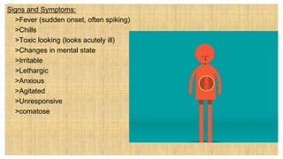 Signs and Symptoms:
 >Fever (sudden onset, often spiking)
 >Chills
 >Toxic looking (looks acutely ill)
 >Changes in mental state
• >Irritable
• >Lethargic
• >Anxious
• >Agitated
• >Unresponsive
• >comatose
 