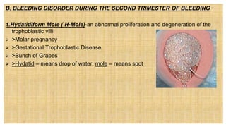B. BLEEDING DISORDER DURING THE SECOND TRIMESTER OF BLEEDING
1.Hydatidiform Mole ( H-Mole)-an abnormal proliferation and degeneration of the
trophoblastic villi
 >Molar pregnancy
 >Gestational Trophoblastic Disease
 >Bunch of Grapes
 >Hydatid – means drop of water; mole – means spot
 