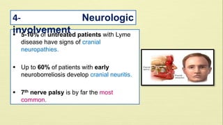 4- Neurologic 
involvement 
 5-10% of untreated patients with Lyme 
disease have signs of cranial 
neuropathies. 
 Up to 60% of patients with early 
neuroborreliosis develop cranial neuritis. 
 7th nerve palsy is by far the most 
common. 
 