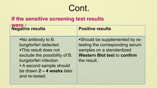 Cont. 
If the sensitive screening test results 
were : 
Negative results Positive results 
Should be supplemented by re-testing 
the corresponding serum 
samples on a standardized 
Western Blot test to confirm 
the result . 
No antibody to B. 
burgdorferi detected. 
This result does not 
exclude the possibility of B. 
burgdorferi infection 
 A second sample should 
be drawn 2 – 4 weeks later 
and re-tested. 
 