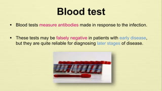 Blood test 
 Blood tests measure antibodies made in response to the infection. 
 These tests may be falsely negative in patients with early disease, 
but they are quite reliable for diagnosing later stages of disease. 
 